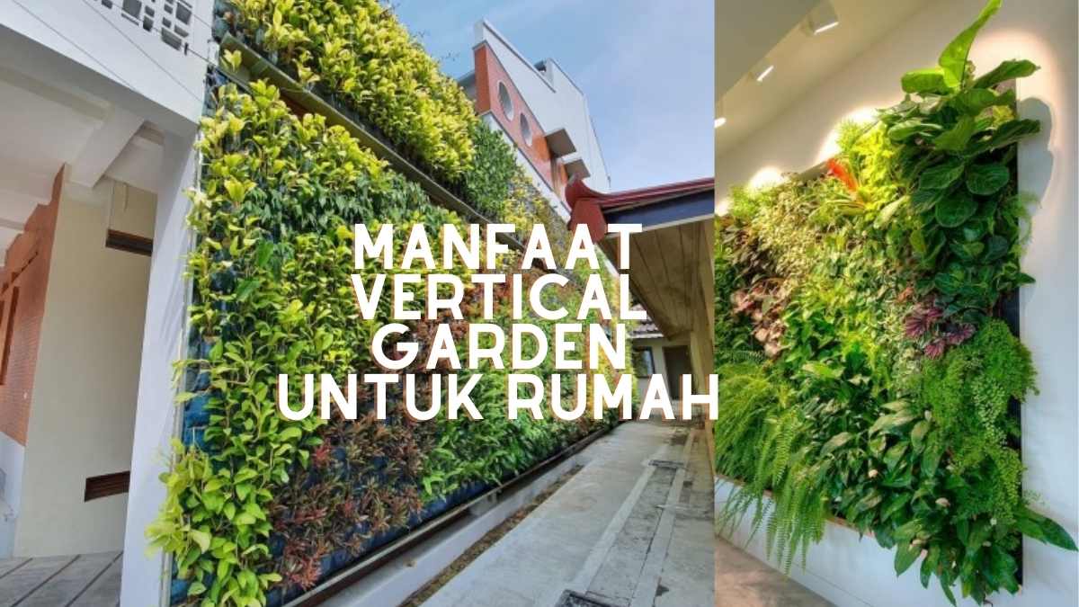 Mengenal Beragam Manfaat Vertical Garden