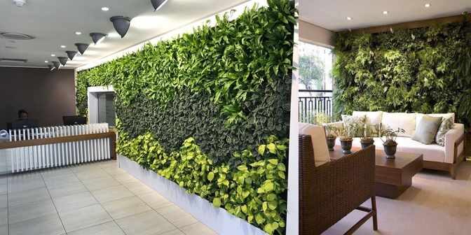 indoor vertical garden