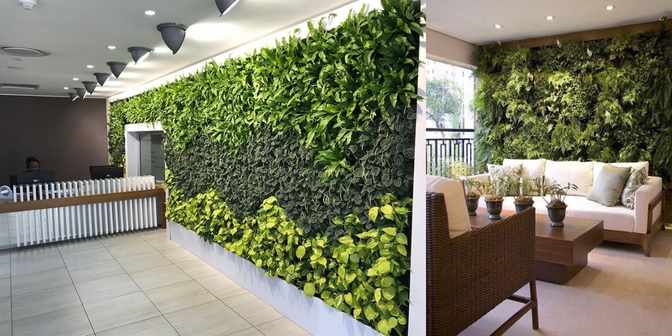 indoor vertical garden