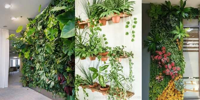 indoor vertical garden