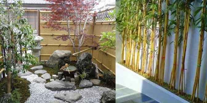 taman kering ala jepang