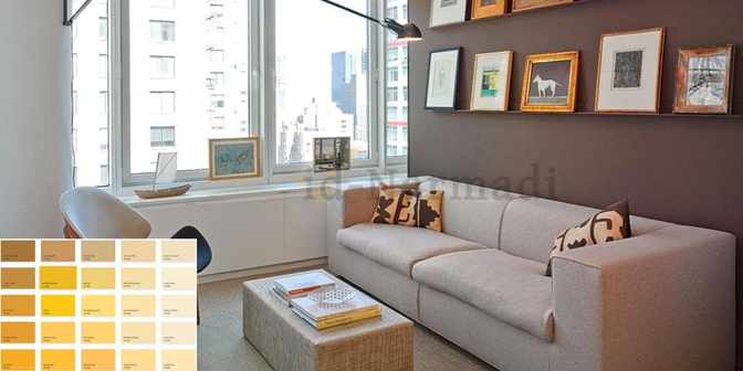 Warna Cat Avitex untuk Ruang Tamu