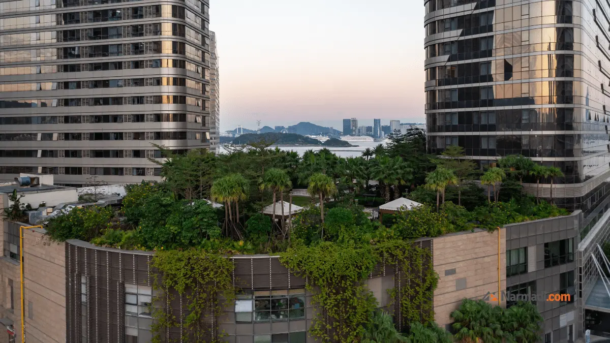 Taman Unik dengan Atap Berlubang