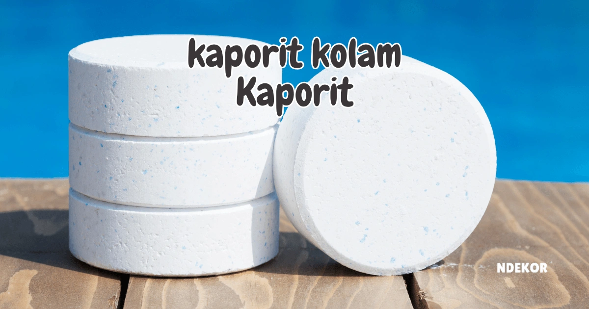 kaporit kolam renang